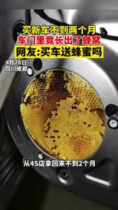 买新车不到两个月 车门长出蜂窝