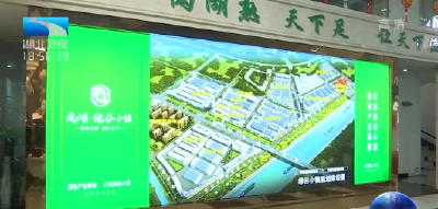 王玲强调 着力推进县域经济高质量发展
