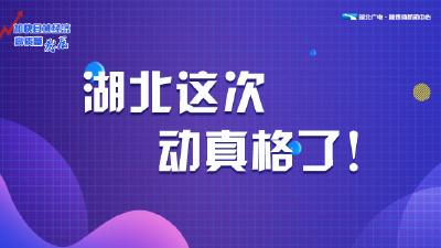 湖北这次动真格了！