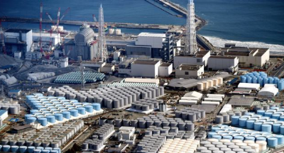 日本，快住手！这是“对人类的犯罪”！