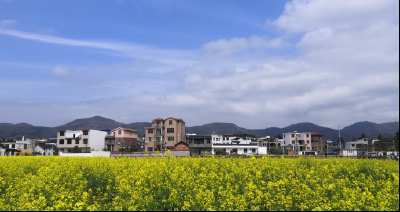 长江云——“颜值”与“气质”两手抓，咸宁杨芳林乡换新颜！