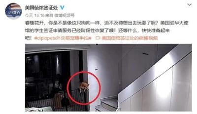 今天不是百年前！美驻华使馆为微博发“狗”论道歉