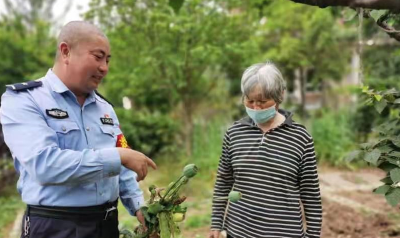注意！民警提醒：此花不是药，种一株也违法