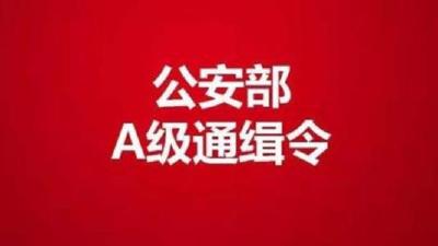 A级通缉令！见到这10人立即报警