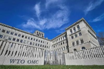 中国商务部副部长张向晨被任命为世贸组织副总干事