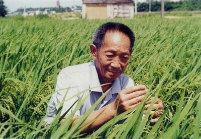 多方证实：袁隆平目前在医院，网传逝世是假消息