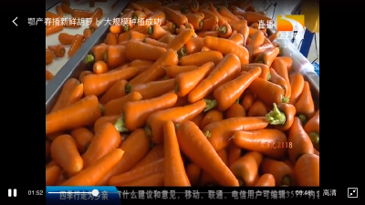 什么蔬菜适合在家水培