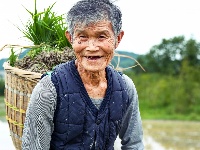 来凤：夏种时节插秧忙