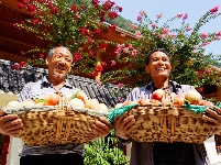 夷陵：幸福笑容处处绽放