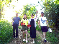 南漳：果园采摘乐趣多