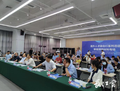 2021海外人才湖北行—新能源新材料专场成功举办