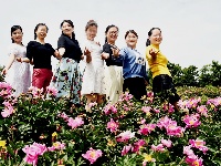 南漳：芍药花开迎客来
