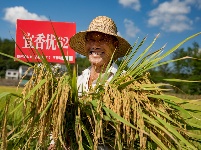 夷陵：幸福笑容处处绽放