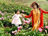 南漳：芍药花开迎客来