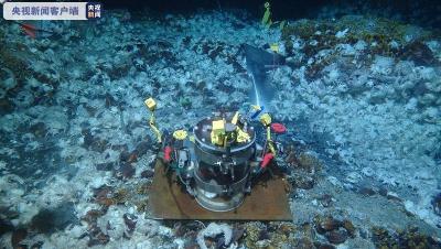 将实验室“搬到海底”！“科学”号完成首个高端用户共享航次