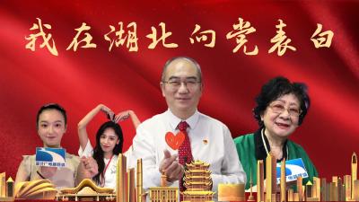 我在湖北向党表白