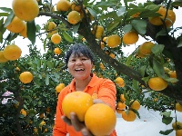 夷陵：幸福笑容处处绽放