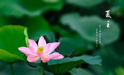 注意！夏至已至，湖北晴热天气又回来了！
