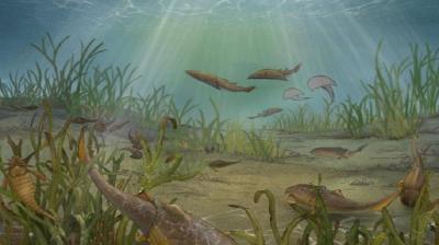 重庆发现距今约4.23亿年前新属种有颌鱼类“袖珍边城鱼”