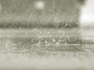 阵雨+中到大雨+雷电来了！接下来的天气......