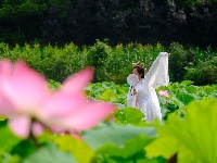 竹山：水绕花田游客来