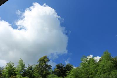 湖北本周以晴热高温天气为主 偶有阵雨