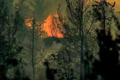 土耳其多地连发森林大火 已致4人死亡 66个起火点基本得到控制