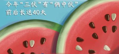 今年“三伏”持续40天！入伏饺子，你吃了吗?
