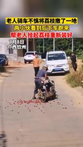 暖心！两小伙帮老人捡荔枝
