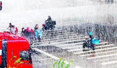 夏天里这一阵阵的雨，原来是坨子雨