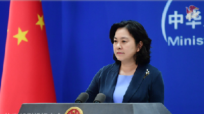 华春莹：美方不可能阻止中国统一进程！
