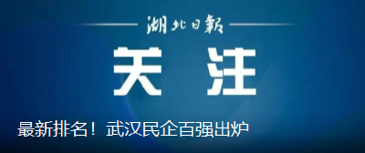 最新排名！武汉民企百强出炉