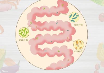这个“菌群”越多越健康！具有这7大功能