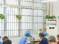 荆州有序恢复疫苗接种工作