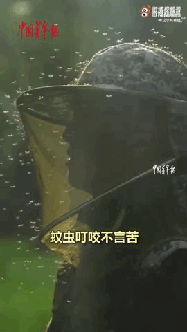 这里一巴掌可以拍死100多只蚊子，驻守的他们却说：不苦！