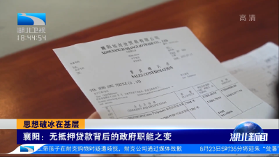 襄阳：无抵押贷款背后的政府职能之变