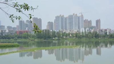 武汉五年内建成40个湖泊公园，50余年老厂腾退建成生态公园