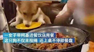 用公共餐具给狗喂食 ，社会公德何在？