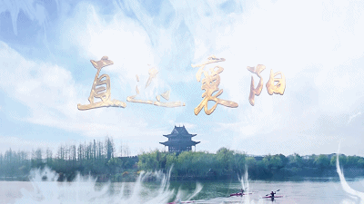 直通襄阳 | 着力打造生猪全产业链