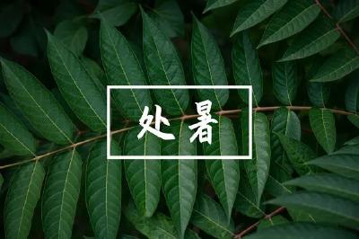 今日5时35分迎来了“处暑”，这份保健手册请收好