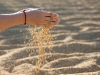 荆州：丰收季，粮满仓