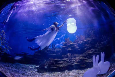 北极熊吃200斤冰皮月饼，海底嫦娥奔月，武汉海昌花样庆中秋