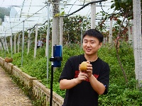 南漳：猕猴桃丰收村民乐