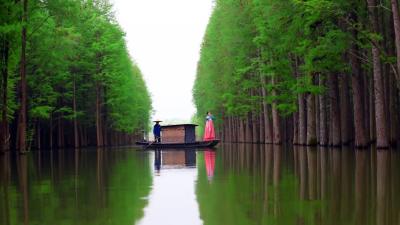 献礼国庆！湖北各地惠民演出及活动精彩纷呈，收藏！