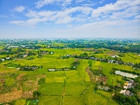 枝江：秋来稻谷黄，农民丰收忙