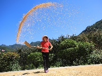 巴东：秋风起 乡野秋收多欢喜