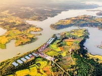 长寿钟祥 金稻飘香