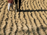 荆州：丰收季，粮满仓