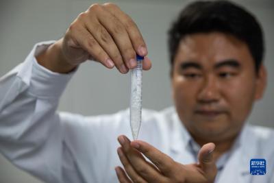 跨越式突破！中国首次在实验室实现人工合成淀粉