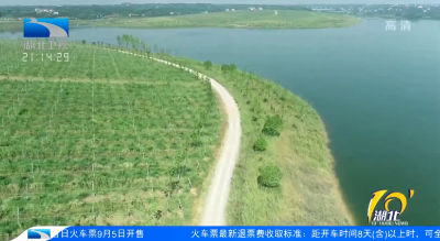 【10′湖北】从“黄土见高坡”到“青山环碧水”